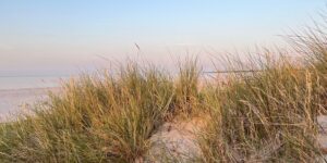 Yoga_Wander_Ostsee_Retreat
